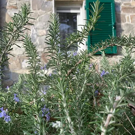 Lägenhet La Finestra Sul Parco