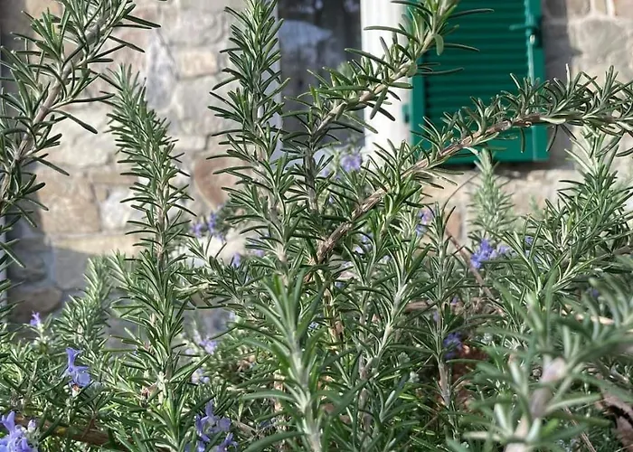 Apartman La Finestra Sul Parco